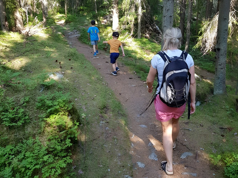 Elev8 Nature Experiences – Nuuksio Tours From Central Helsinki