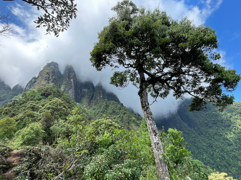Simple Backpackers-胡志明市必去景点