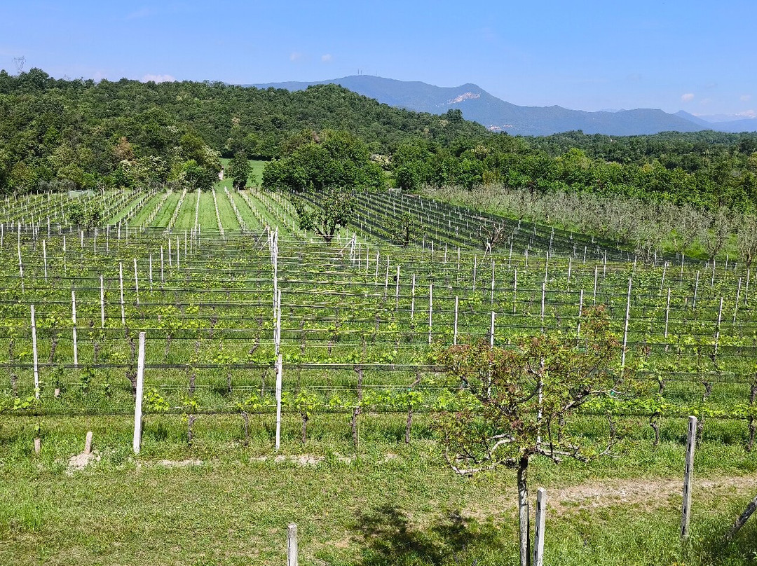 Podere Dei Folli-Polpenazze del Garda必去景点