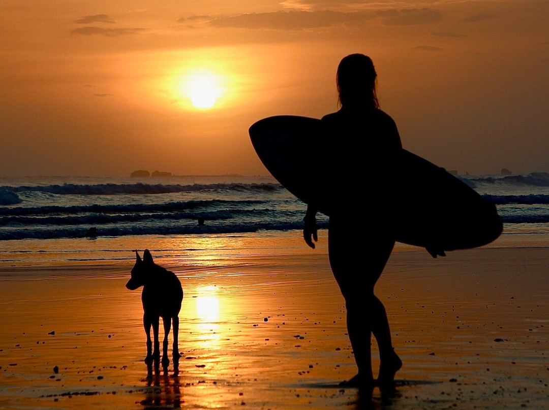 Sloth Travel-San Jose必去景点