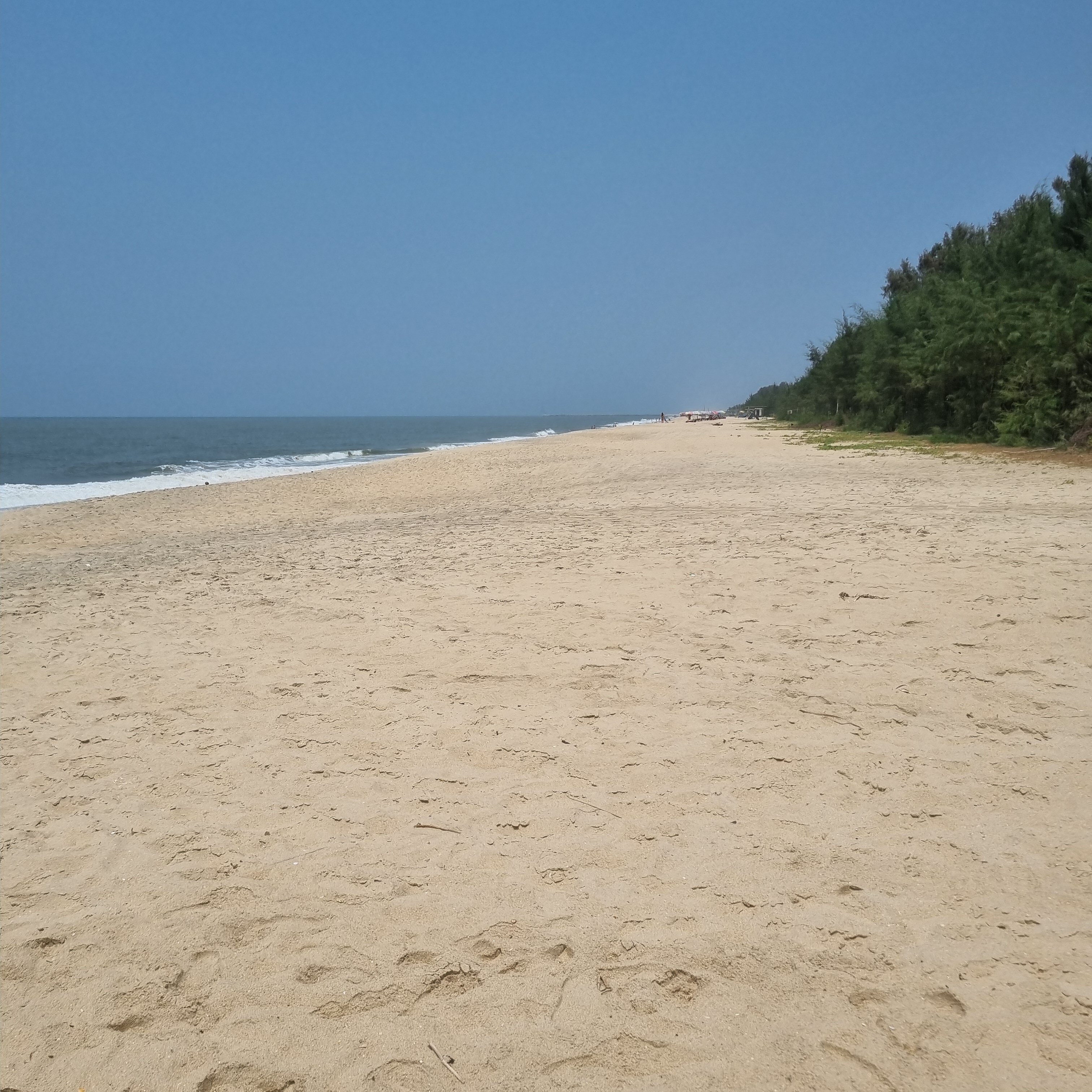 Marari Beach - CGH Earth-泳池