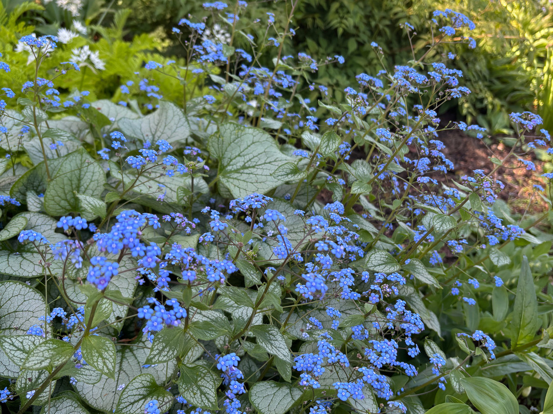 Eggleston Hall Gardens-Eggleston必去景点
