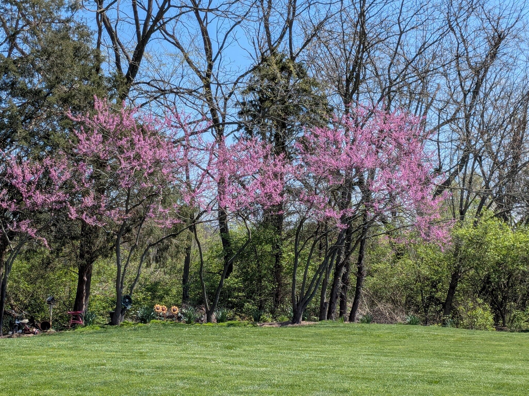 Lebanon Garden Tour And Scavenger Hunt-Lebanon必去景点