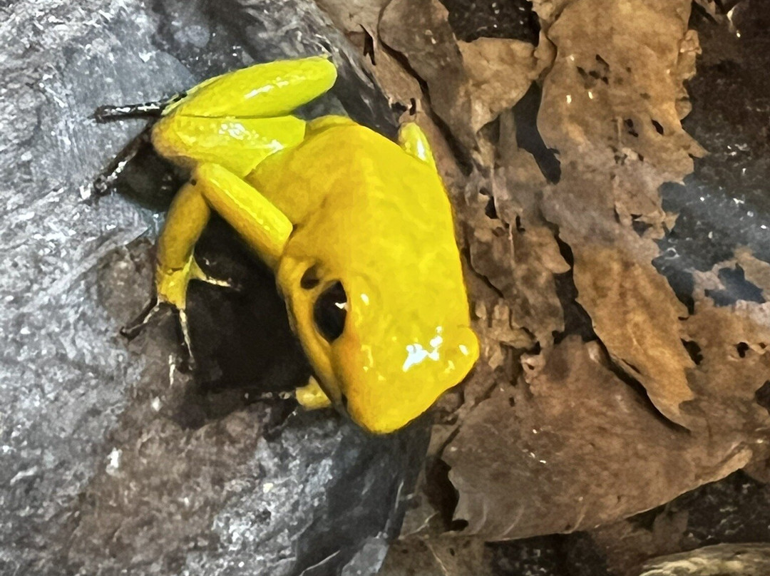 Shaldon Wildlife Trust-Shaldon必去景点