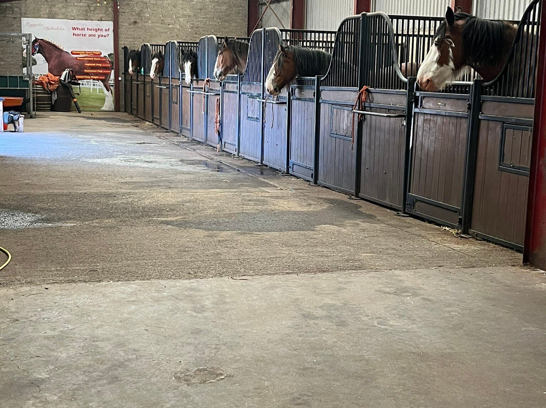 Peggyslea Clydesdales-Penicuik必去景点