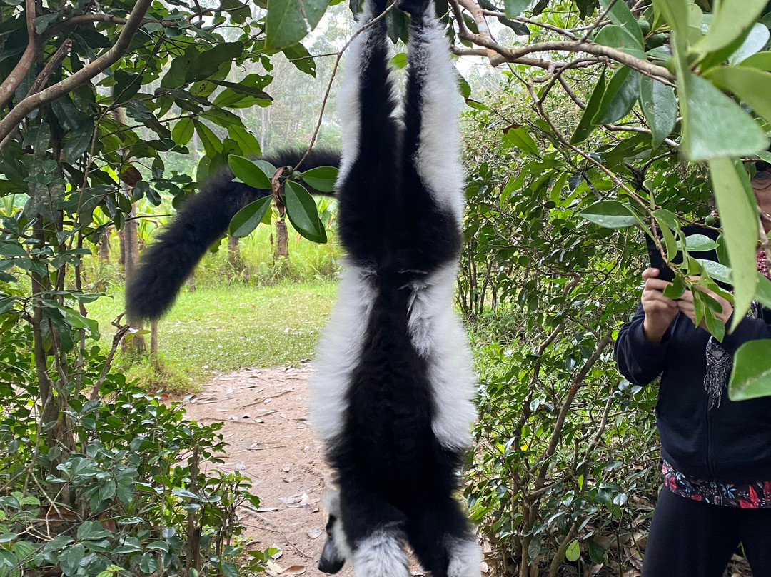 Wau Madagascar景点图片