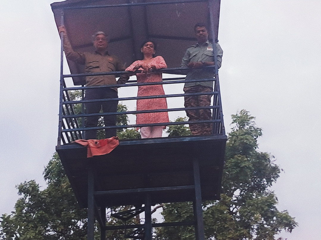 Tadoba Andhari National Park景点图片