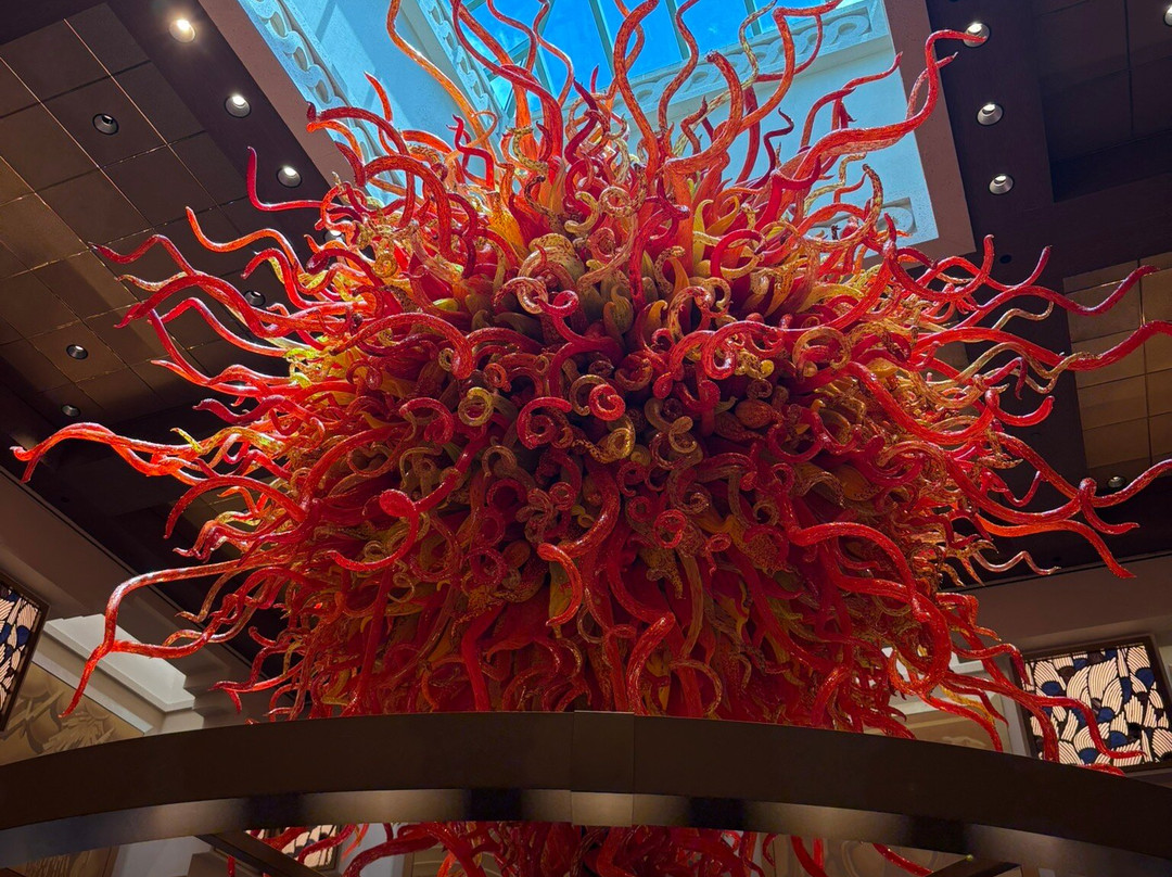 Port Canaveral-卡纳维拉尔港必去景点