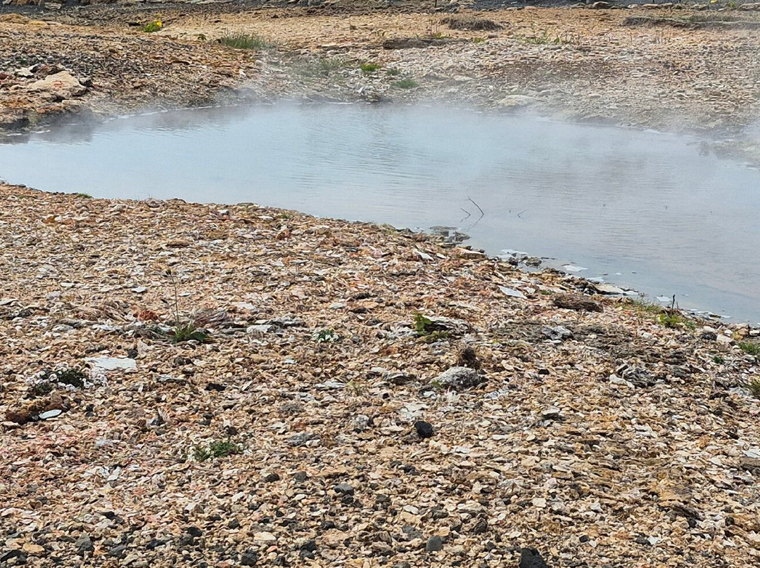 The Geothermal Park Hveragerdi-Hveragerdi必去景点