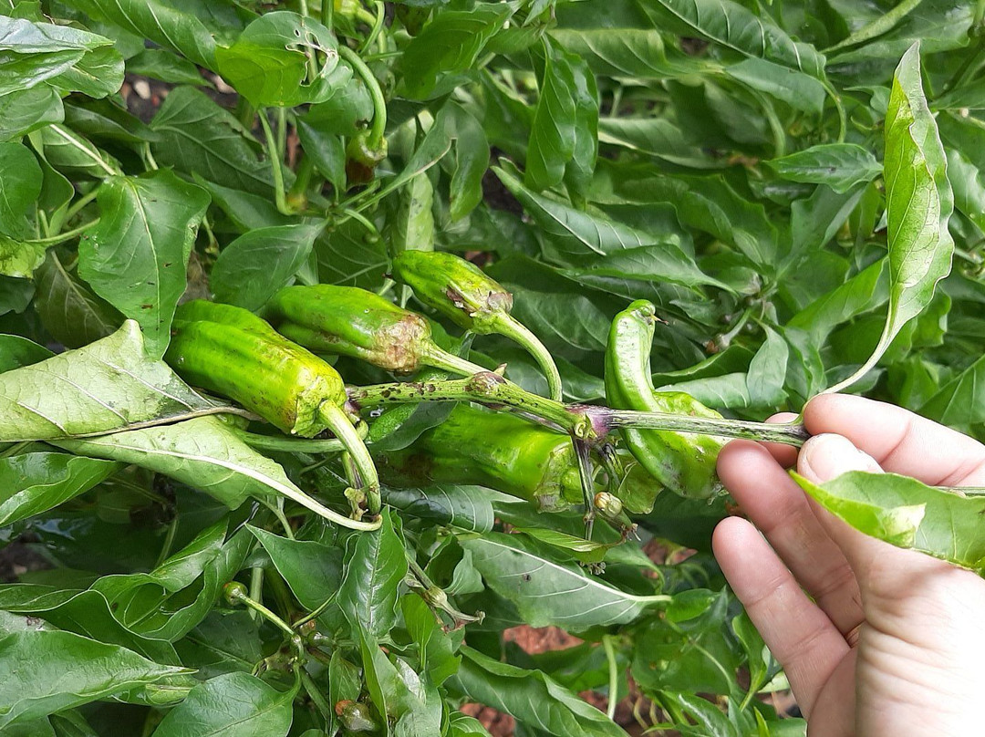 Parque de Los Sentidos-Noain必去景点