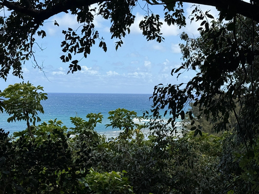 Ha'ena State Park-可爱岛必去景点