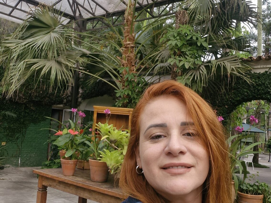 Hotel Resort & Golfe Clube dos 500主图