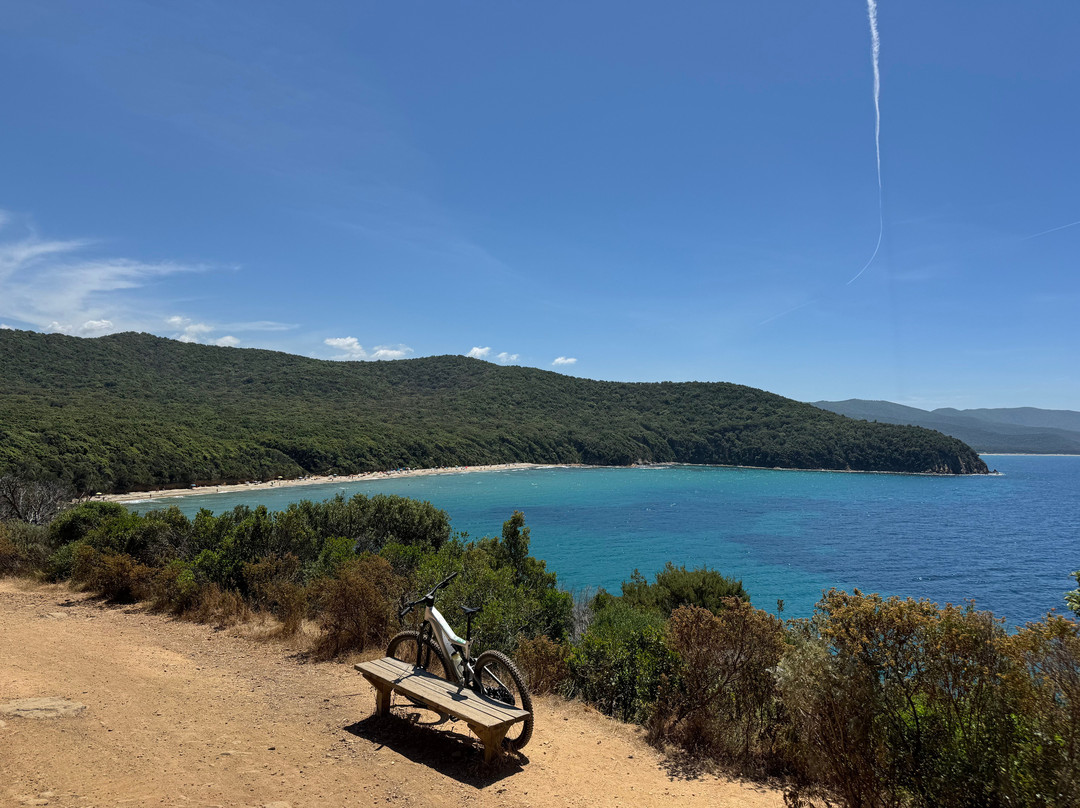 Cala Violina景点图片