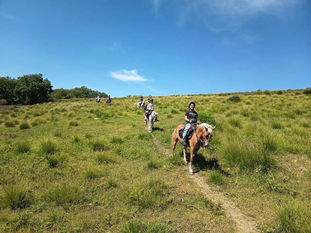 Horse Trekking Sicily景点图片