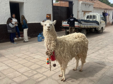 Full Tour-圣地亚哥必去景点