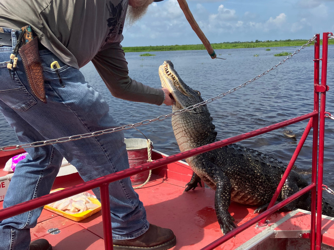 New Orleans Airboat Tours景点图片