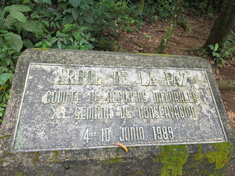 Native's Way-塔马林多必去景点