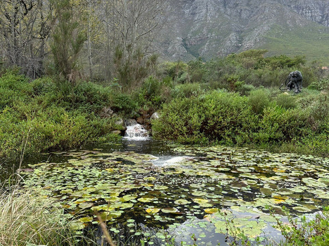Art Trip Tours-法兰舒克必去景点