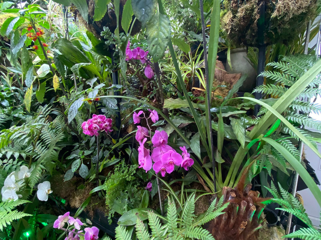 Houghton Lodge Gardens景点图片