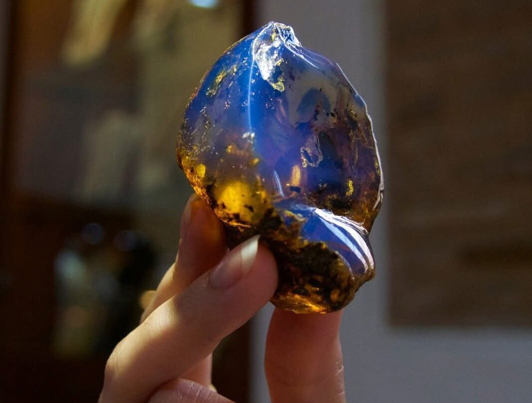 Dominican Amber Museum-普拉塔港必去景点