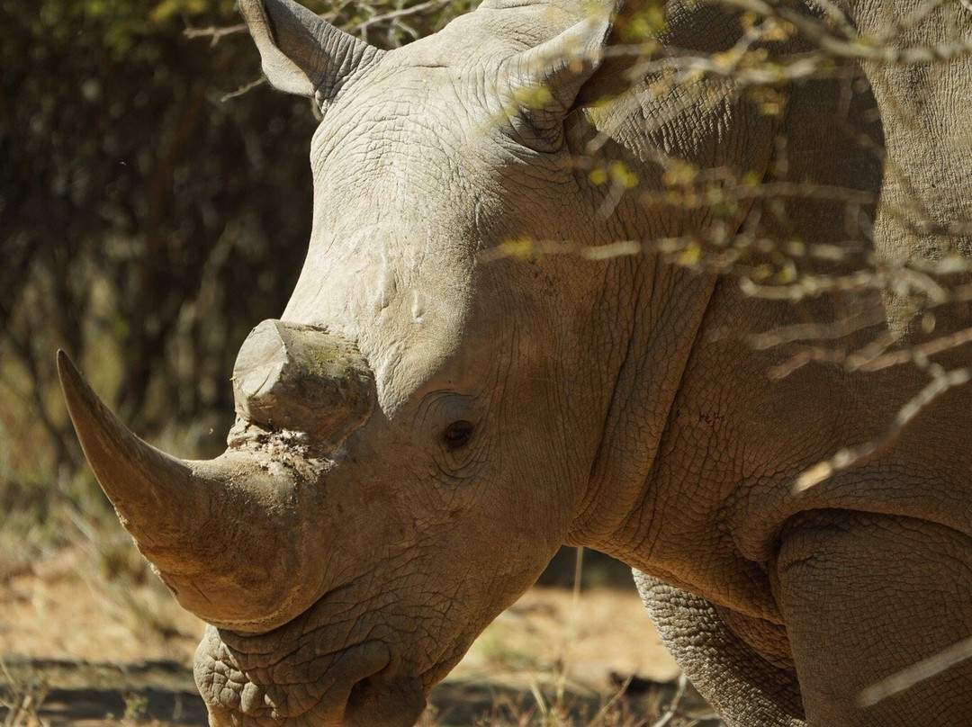 Naankuse Wildlife Sanctuary-温德和克必去景点