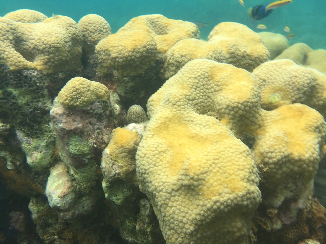 Kalinago-Sainte-Anne必去景点