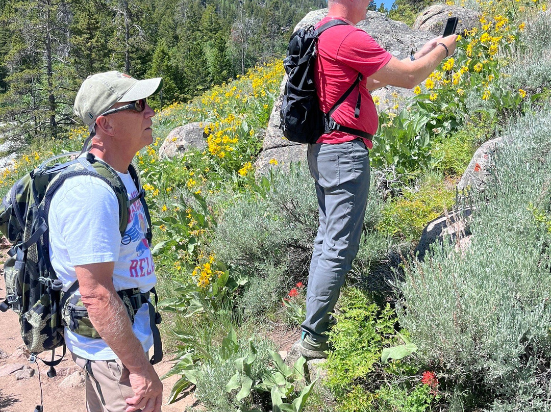 普朗霍恩洛治罗德威旅馆主图