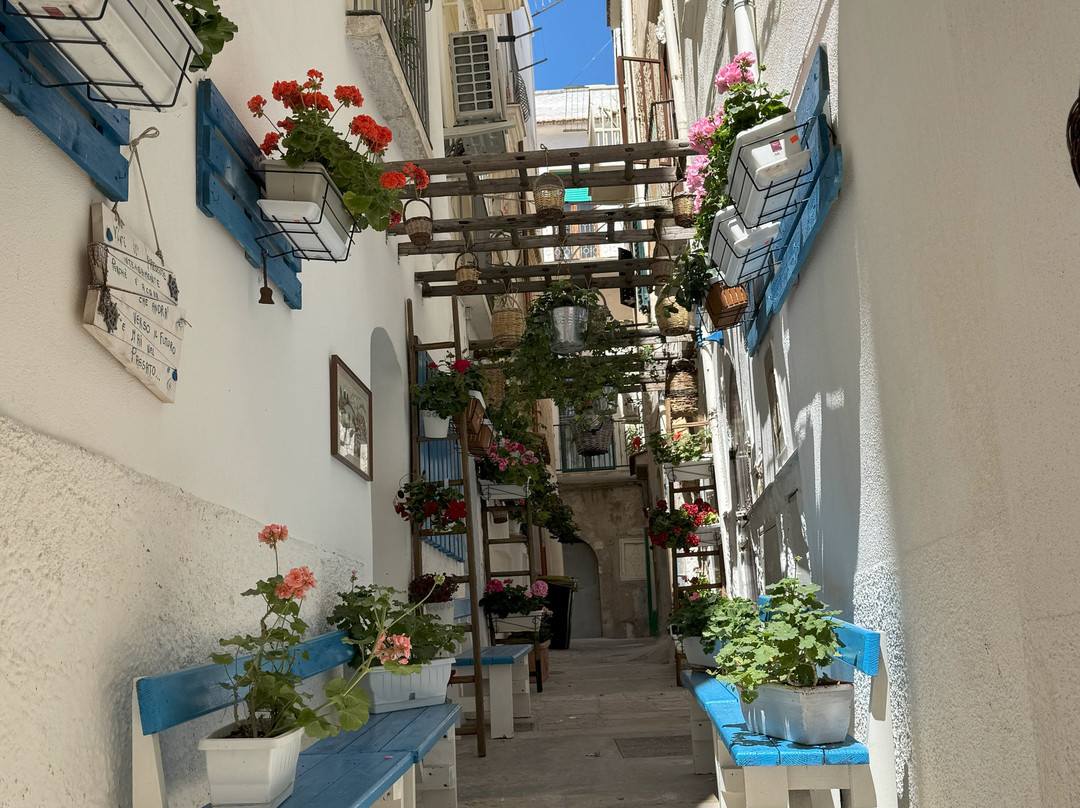 Borgo Antico Di Vieste-维耶斯泰必去景点