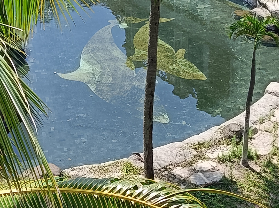 奥拉尼度假公寓酒店主图