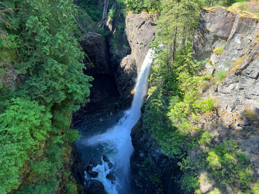 Elk Falls Suspension Bridge-坎贝尔里弗必去景点