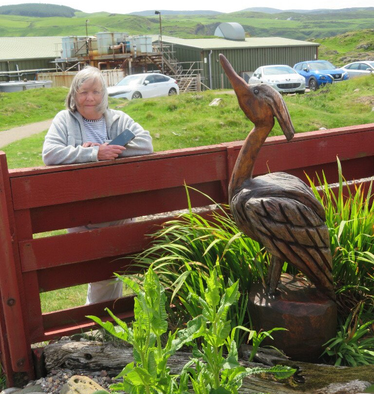 Machrihanish Seabird & Wildlife Observatory-Machrihanish必去景点