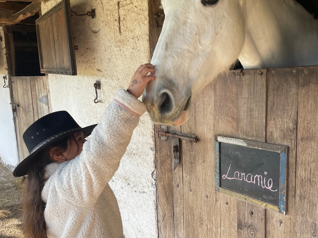 Cabalgatas Y Club Ecuestre Santa Cruz-圣克鲁斯必去景点