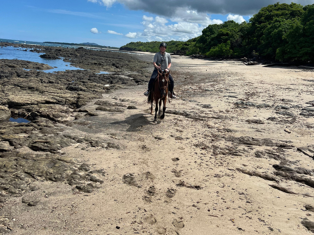 Guti Tours-Playa Avellanas必去景点