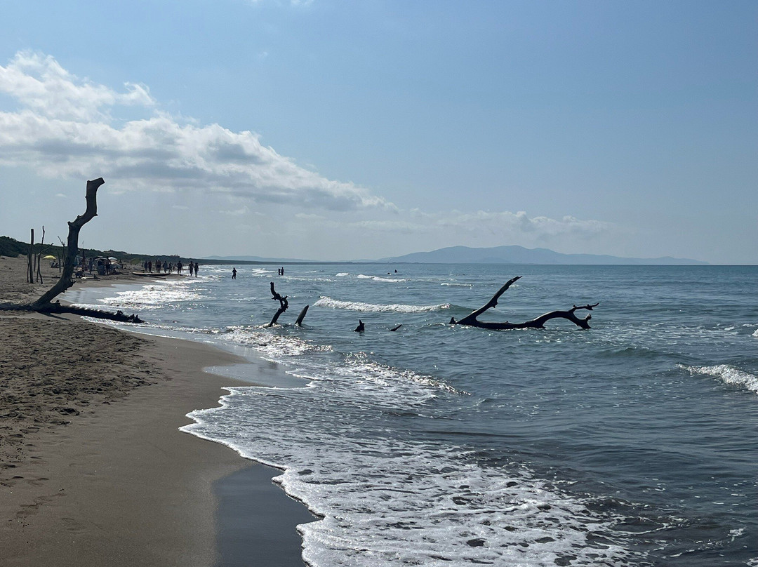 Pinetina Sud Stabilimento Balneare-佩斯卡亚堡必去景点