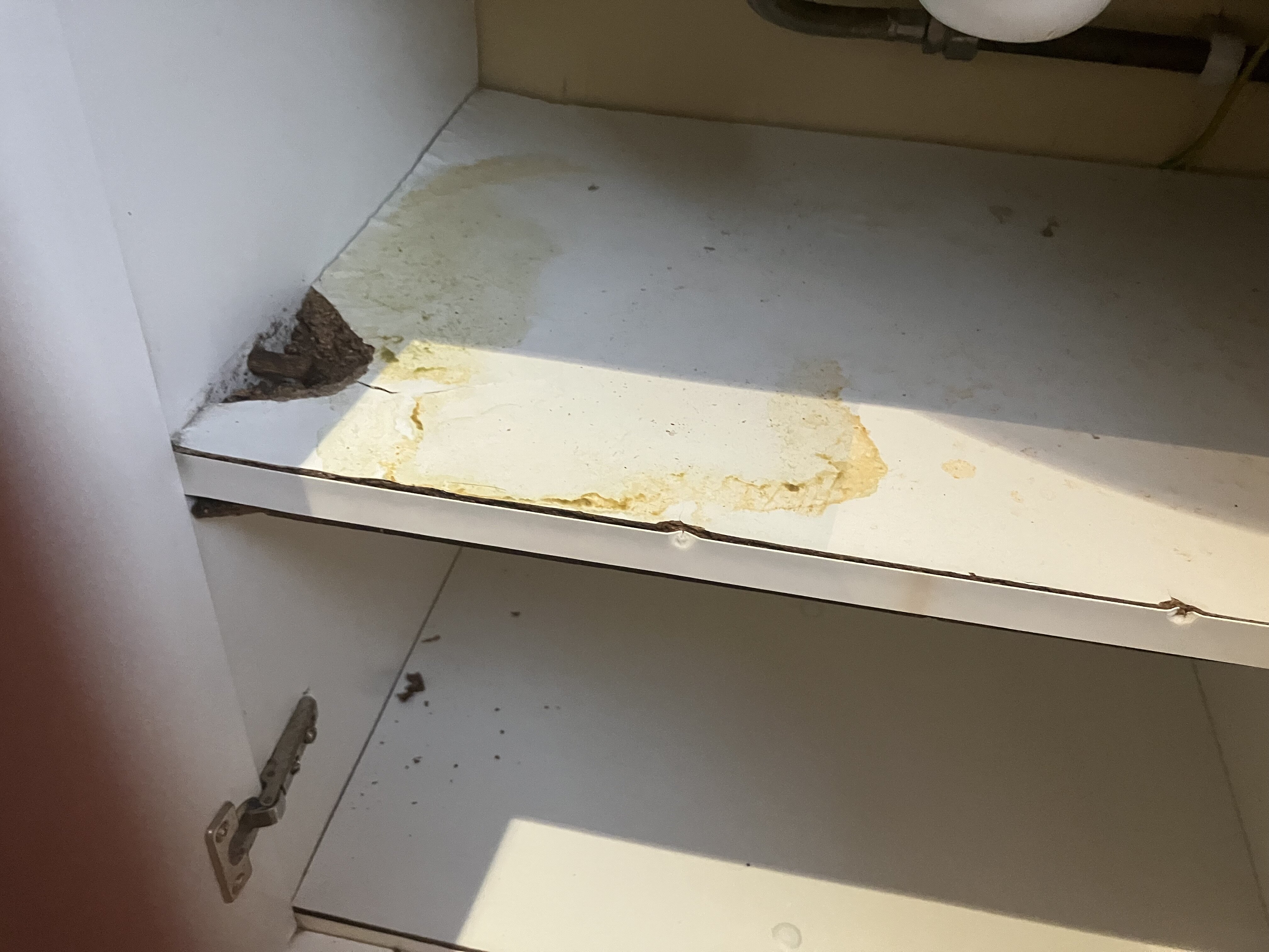 珊顿别墅酒店-官方
