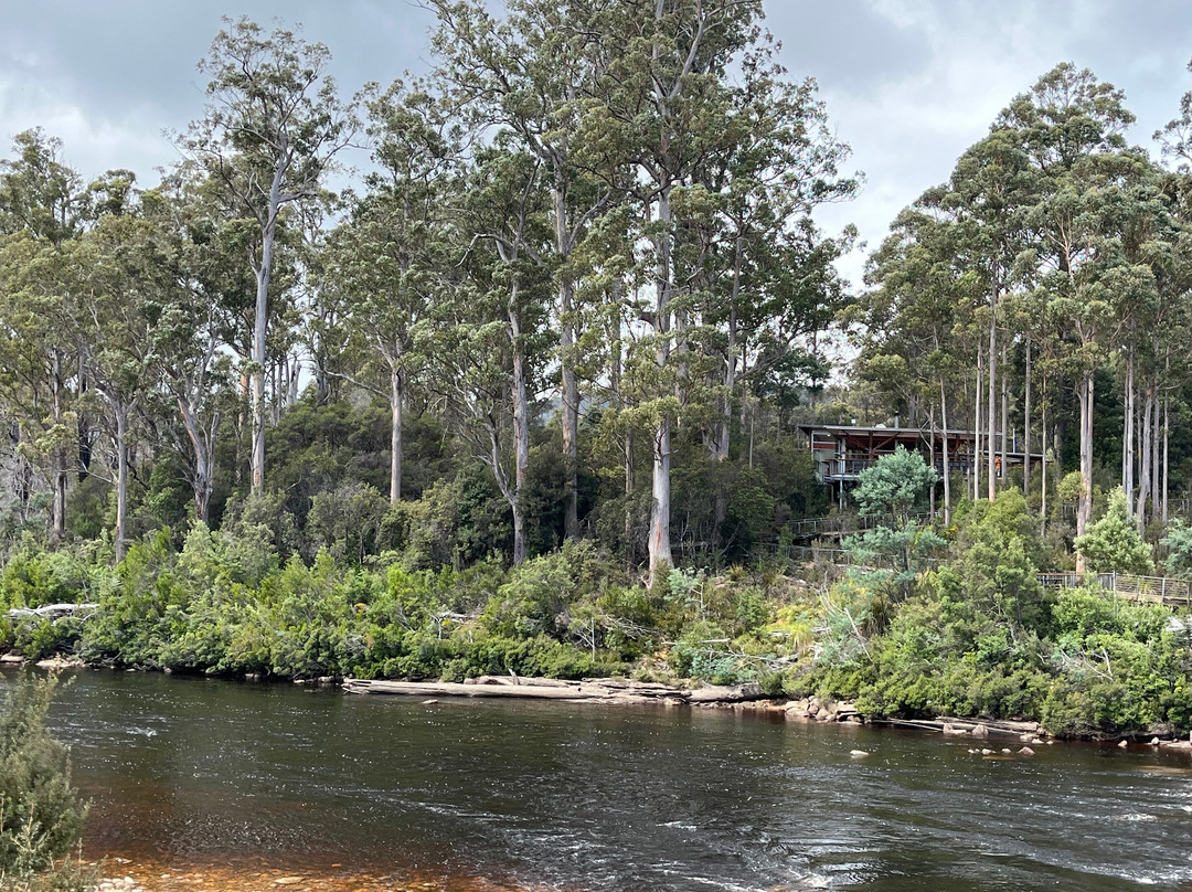 Tahune Adventures-Geeveston必去景点