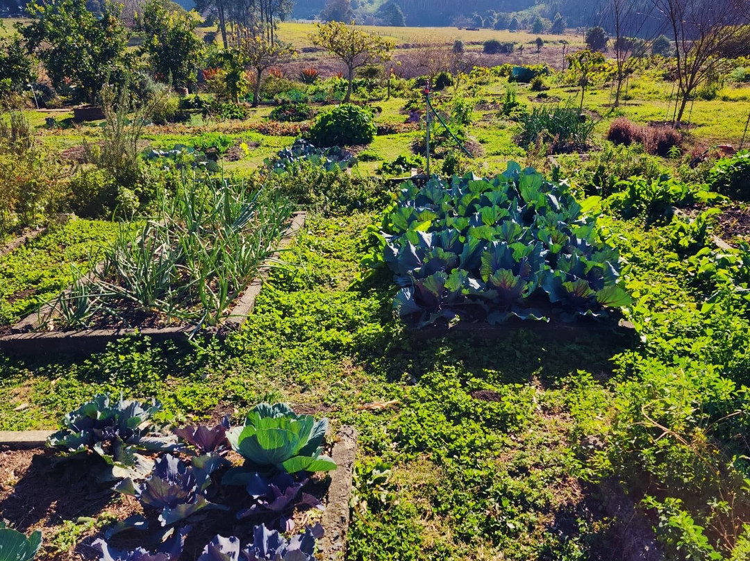 The Old Mushroom Farm-豪威克必去景点