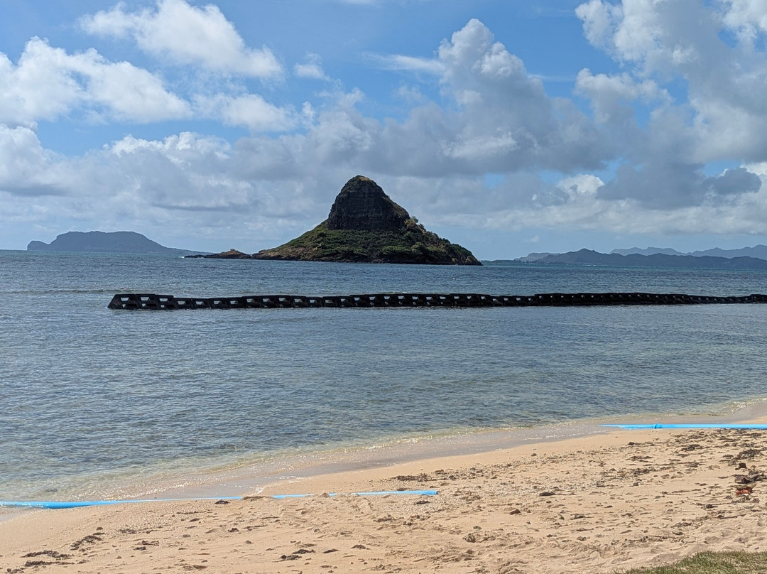 Aina Tours llc-火奴鲁鲁必去景点