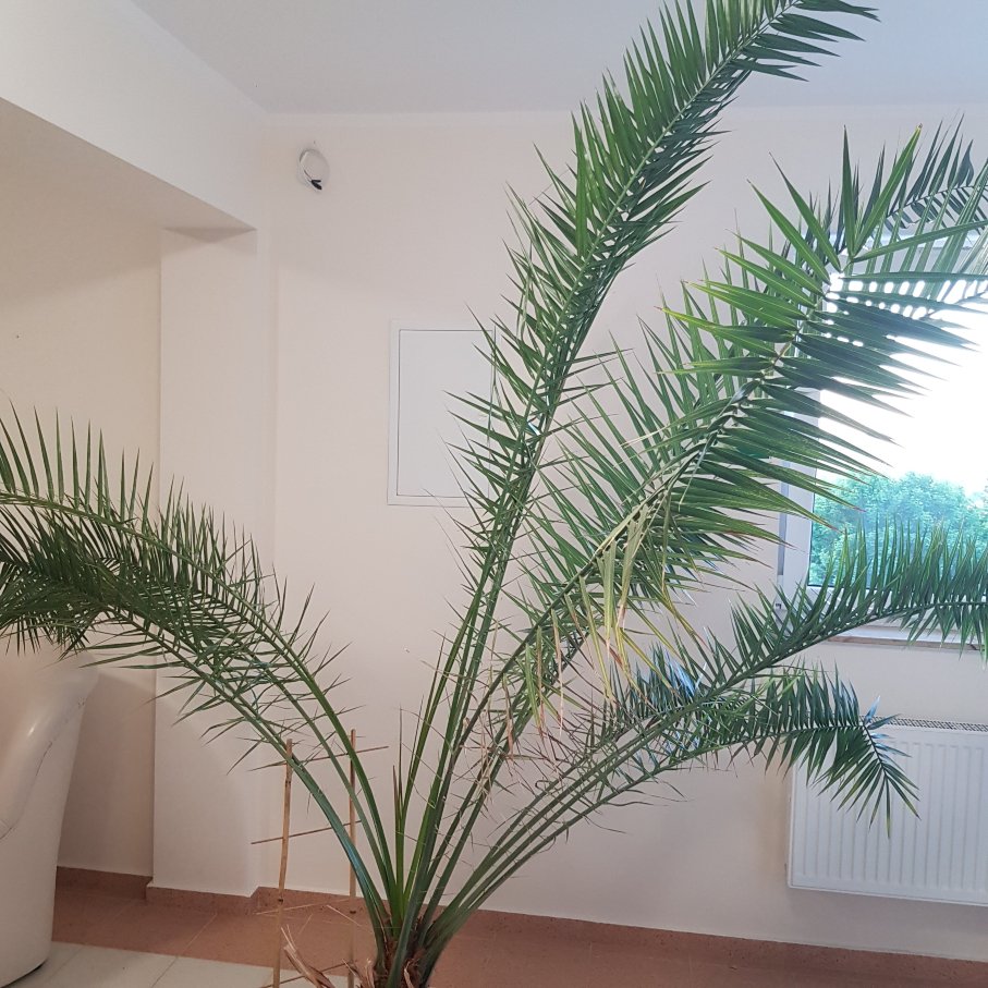 吉丽里卡莫多希医疗SPA旅馆-浴室