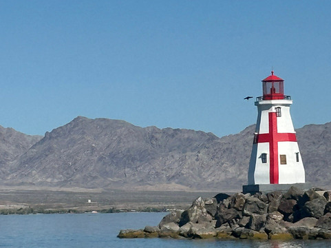 Rubba Duck Safari-哈瓦苏湖城必去景点