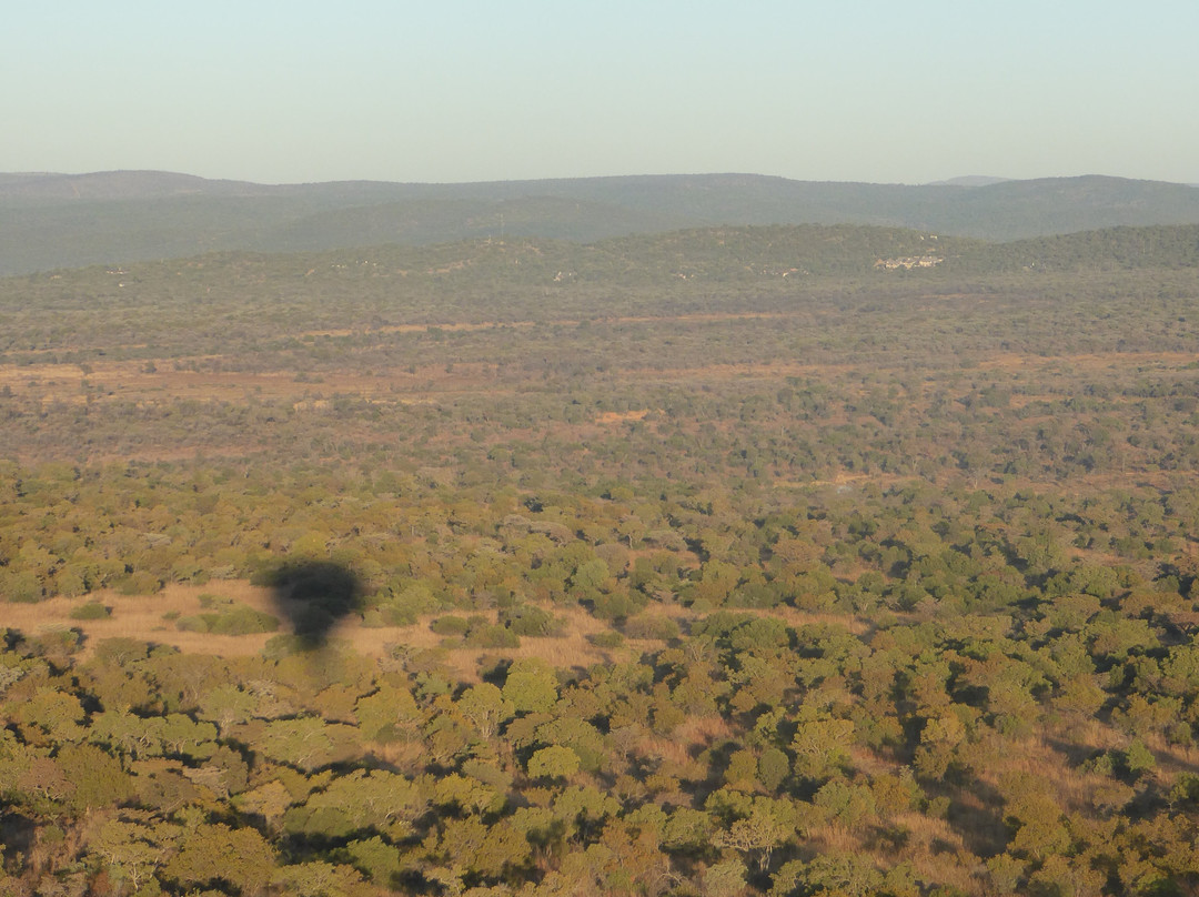 Bill Harrop's Original Balloon Safaris-Magaliesburg必去景点