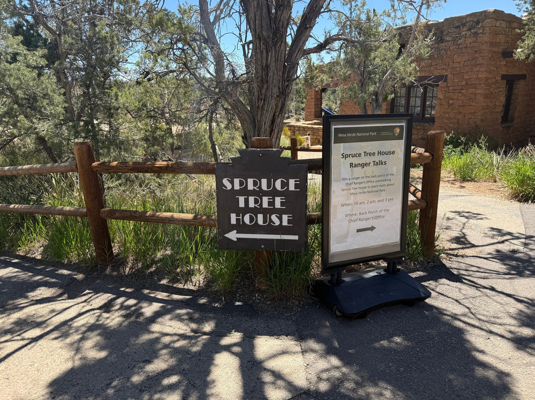 Spruce Tree House-梅萨维德国家公园必去景点