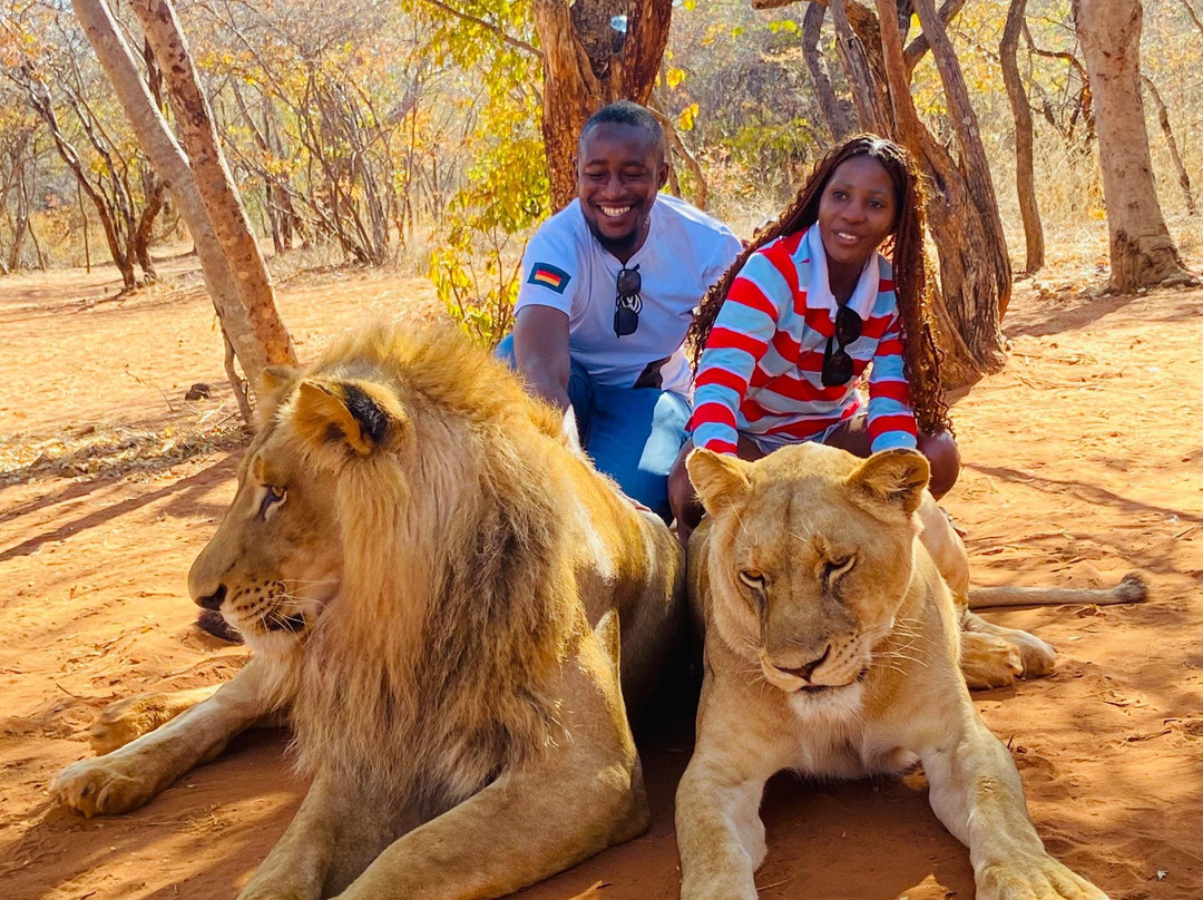 Untamed African Safaris-李文斯顿必去景点