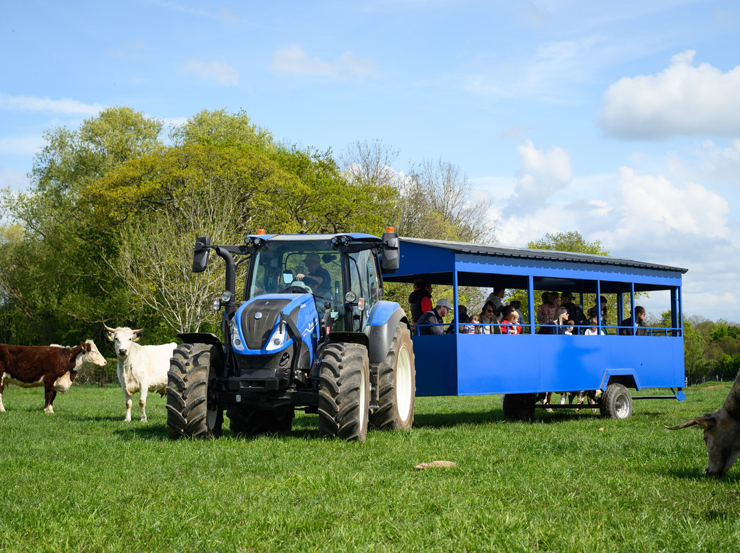 Cattle Country Adventure Park-Berkeley必去景点