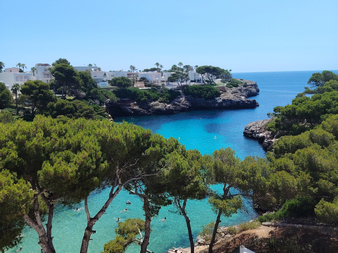AluaSoul Mallorca Resort主图