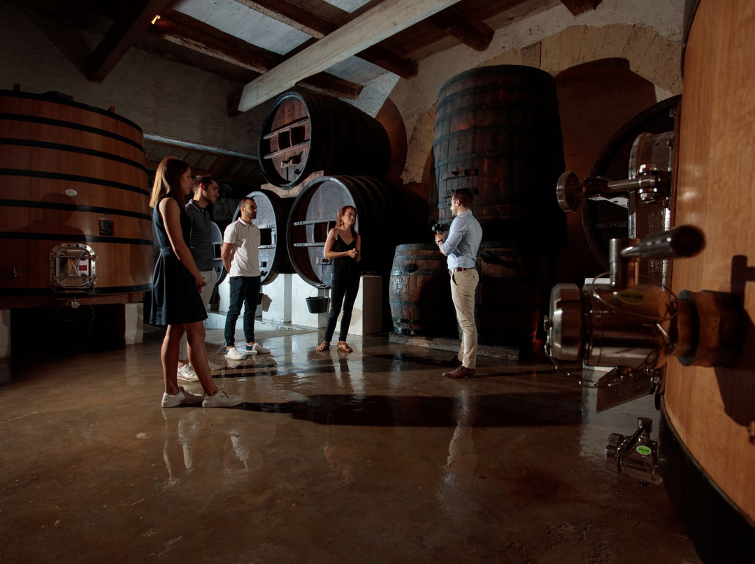Domaine de Soustres-Montady必去景点