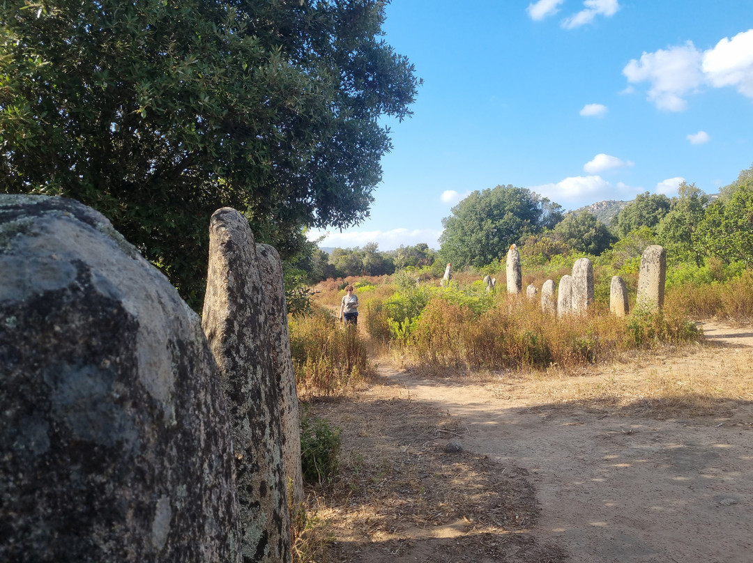 Menhirs Paddaghhu-Sartene必去景点
