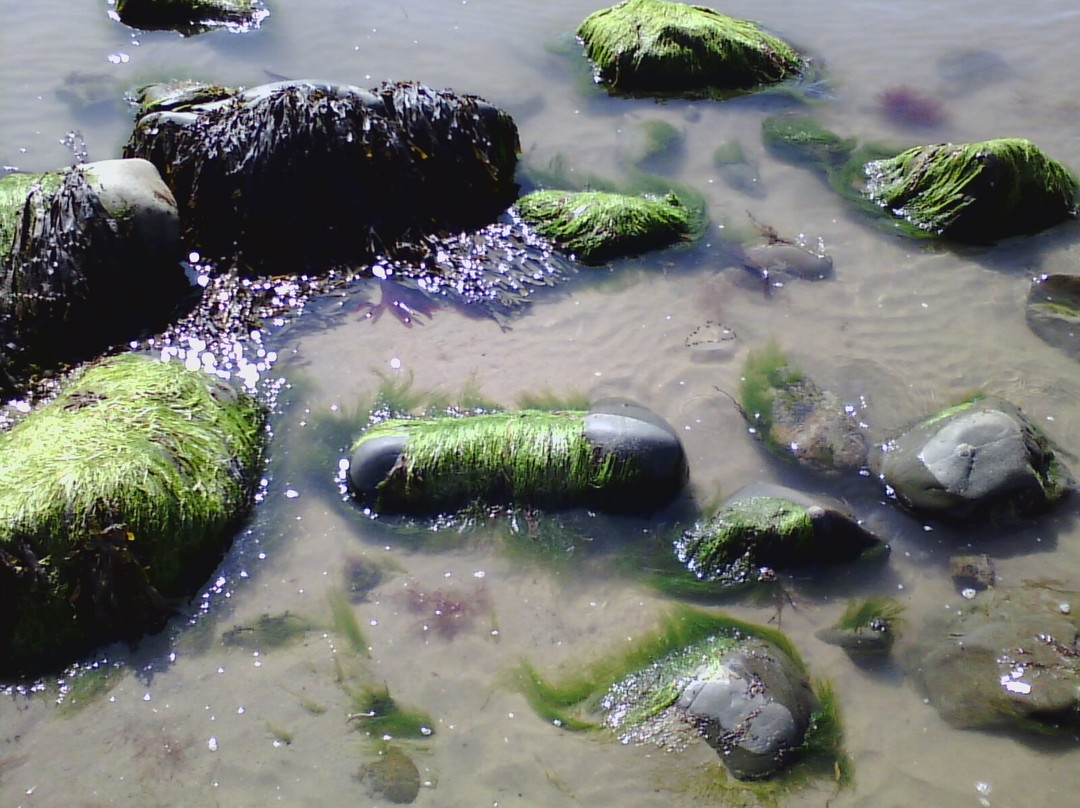 Llandanwg Beach-Llandanwg必去景点