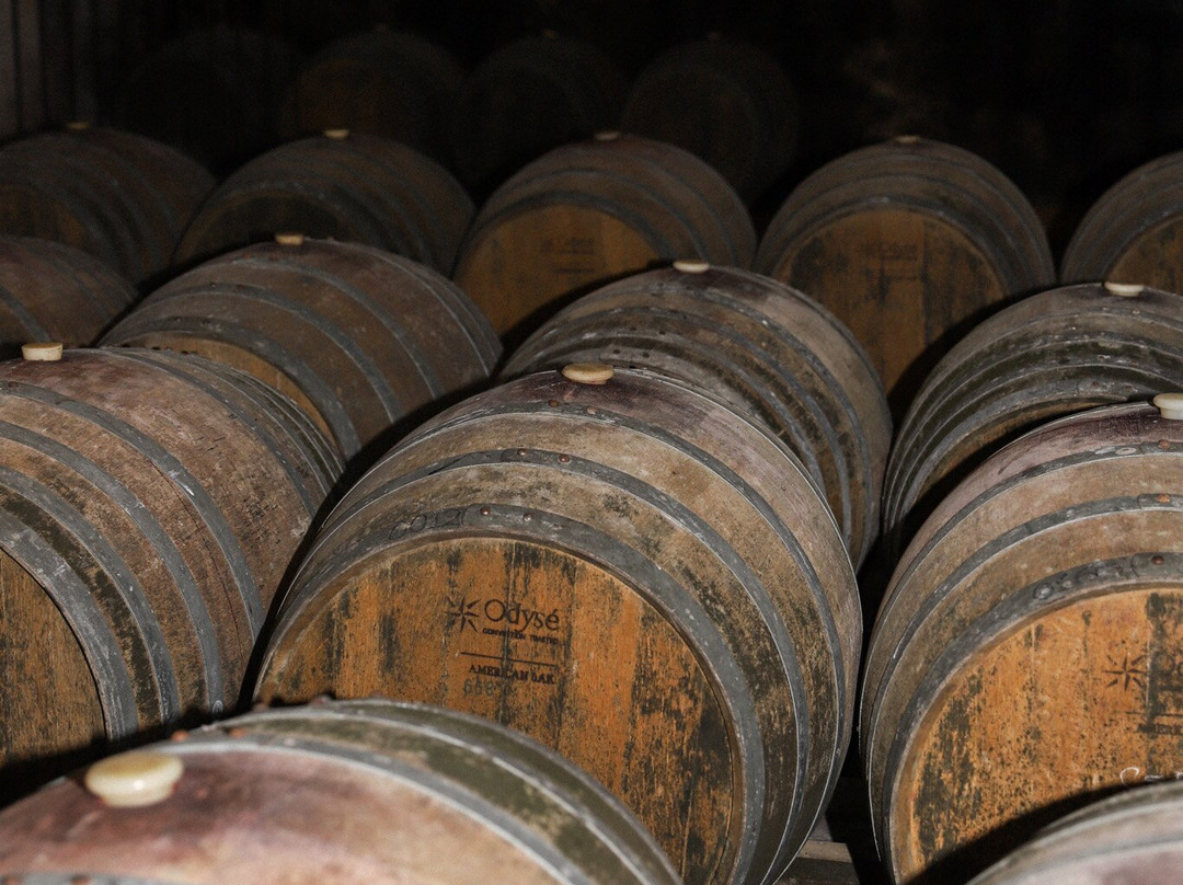 Bodegas Carrau-蒙得维的亚必去景点