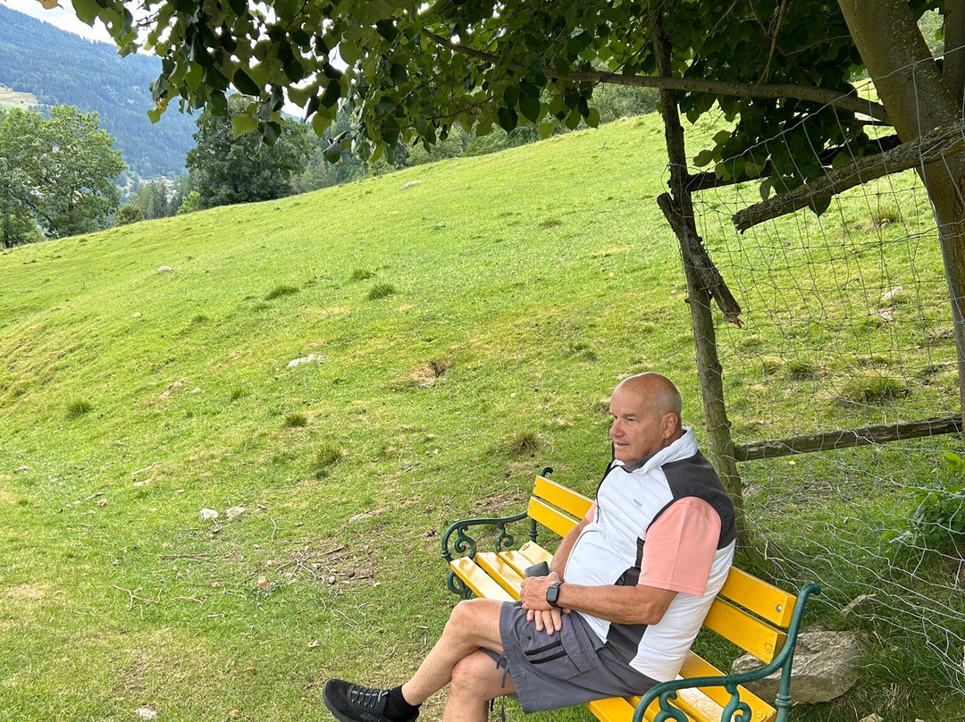 Alpen Wildpark-Feld am See必去景点